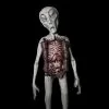 Distortions "Alien Autopsy" Sci-Fi Prop -The Horror Dome Store alien autopsy sci fi prop 28733757358128