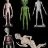 Morris Package Deals "Alien Sci-Fi Props" - 5x Package Deal