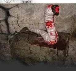 DC PROPS "Amplus Vermin" Halloween Animatronic