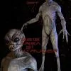 Midnight Studios "Area 51 Intruder" Professional Alien Halloween Prop - 7 Foot Tall -The Horror Dome Store area 51 intruder professional alien halloween prop 7 foot tall 8179847681