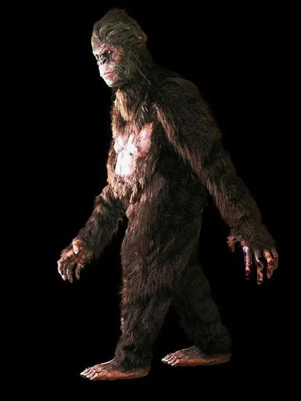 The Horror Dome "Bigfoot" HD Studios Pro Costume 6 The Horror Dome "Bigfoot" HD Studios Pro Costume - Image 4