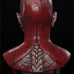 CFX "Bloody Flayed Frank" Silicone Mask -The Horror Dome Store bloody flayed frank silicone mask 8671260225