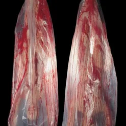 Distortions "Body Bag" Static Halloween Prop