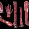 Morris Package Deals "Burnt Body Parts" Gory Halloween Props - Package Deal