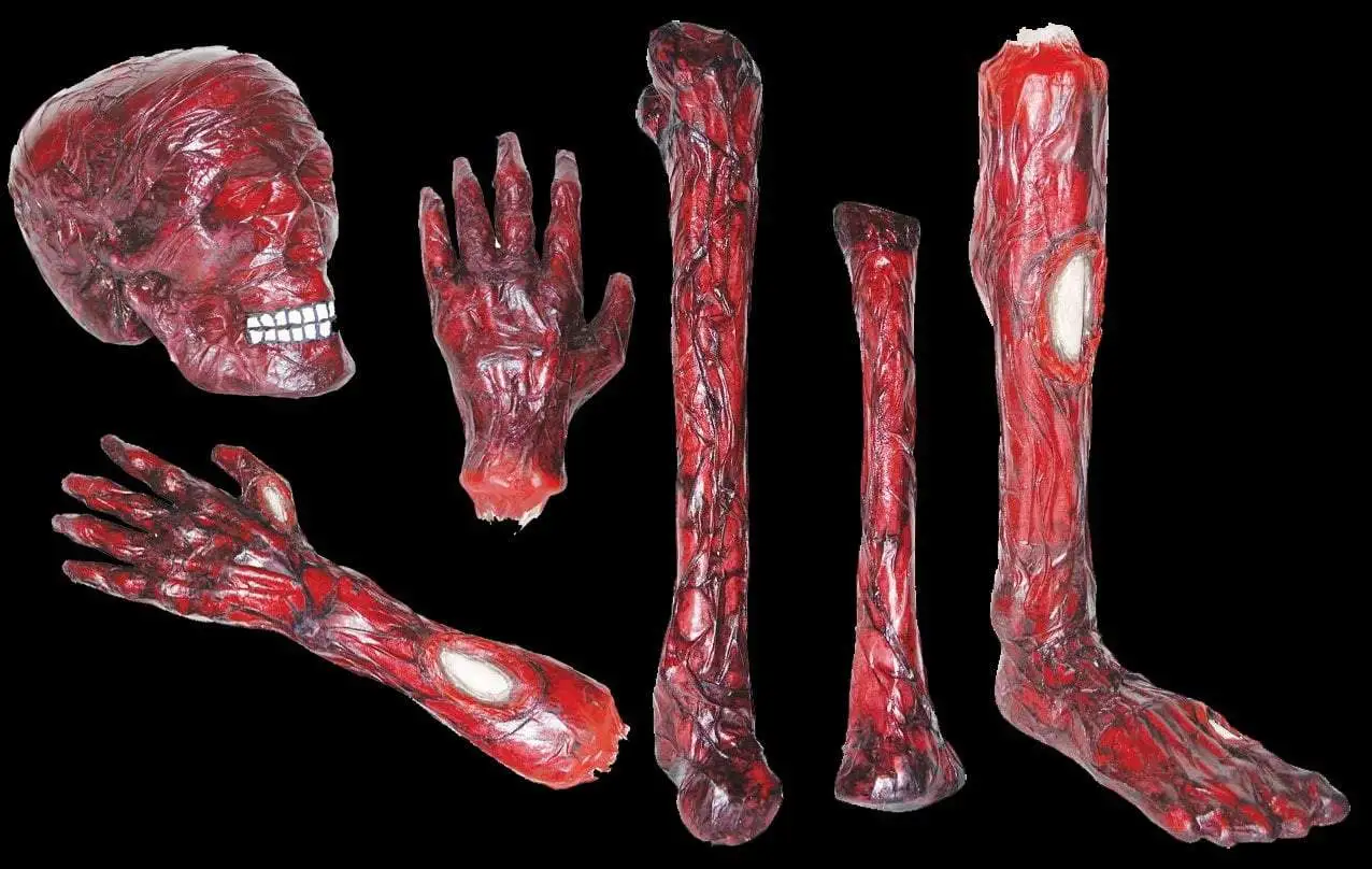 Morris Package Deals "Burnt Body Parts" Gory Halloween Props - Package Deal 3 Morris Package Deals "Burnt Body Parts" Gory Halloween Props - Package Deal