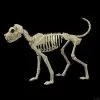 Morris Buster Bonez Dog Skeleton Halloween Prop