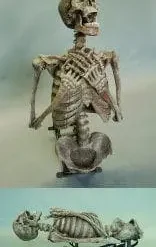 DC PROPS "Corpse Erector" Skeleton Halloween Animatronic