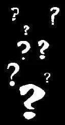 Characters Unlimited "Custom Character" Animatronic Fortune Teller Machine