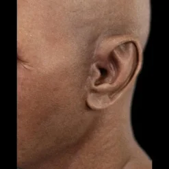 CFX "Derek" Silicone Mask -The Horror Dome Store derek silicone halloween mask 8672072577