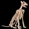 Morris Doberman Skeleton Dog Skeleton Halloween Prop -The Horror Dome Store doberman skeleton dog skeleton halloween prop 30408654946352
