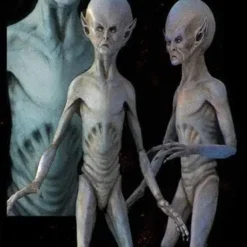 Midnight Studios "EBE Extraterrestrial Biological Entity" Professional Alien Prop