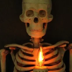 Skeletons And More "Framed 3D Skeleton Torso Holding Candle" Hanging Haunted House Decoration -The Horror Dome Store framed 3d skeleton torso holding candle hanging haunted house decoration 28663808557104