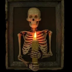 Skeletons And More "Framed 3D Skeleton Torso Holding Candle" Hanging Haunted House Decoration