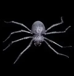 Distortions "Giant Spider" Monster Halloween Prop