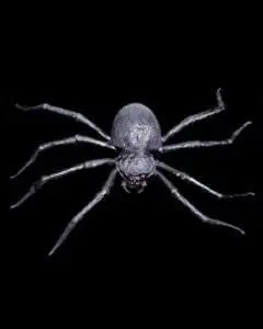 Distortions "Giant Spider" Monster Halloween Prop