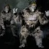 Distortions "Gorilla" Pro Quality Costume