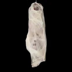 The Horror Dome "Graveyard" Halloween Props - Package Deal -The Horror Dome Store graveyard halloween props package deal 6927438381104