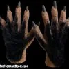 The Horror Dome Monster Hands With Black Hair - HD Studios 1 The Horror Dome Monster Hands With Black Hair - HD Studios -The Horror Dome Store haired monster hd studios hands 28530903908400