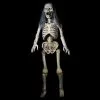 Distortions "Hairy Scary Skeleton" Graveyard Prop
