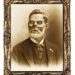 The Horror Dome "Haunted Hallway" Haunted House Props - Package Deal 13 The Horror Dome "Haunted Hallway" Haunted House Props - Package Deal -The Horror Dome Store haunted hallway haunted house props package deal 6927040938032