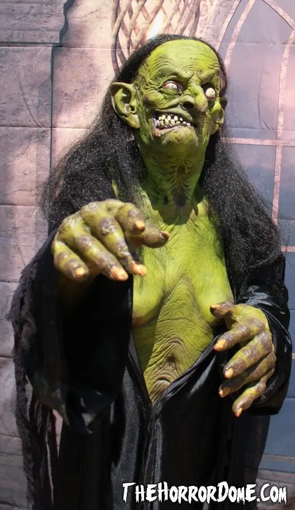 The Horror Dome "Helga The Witch" HD Studios Pro Costume 5 The Horror Dome "Helga The Witch" HD Studios Pro Costume - Image 3