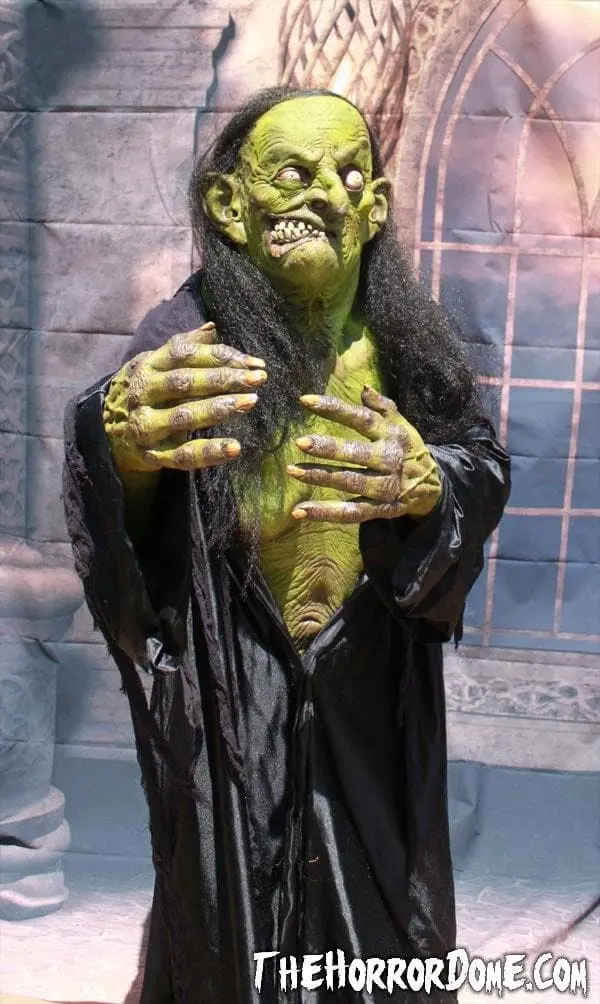 The Horror Dome "Helga The Witch" HD Studios Pro Costume 6 The Horror Dome "Helga The Witch" HD Studios Pro Costume - Image 4