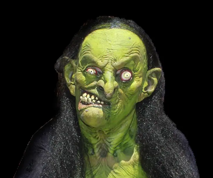 The Horror Dome "Helga The Witch" HD Studios Pro Costume 4 The Horror Dome "Helga The Witch" HD Studios Pro Costume - Image 2