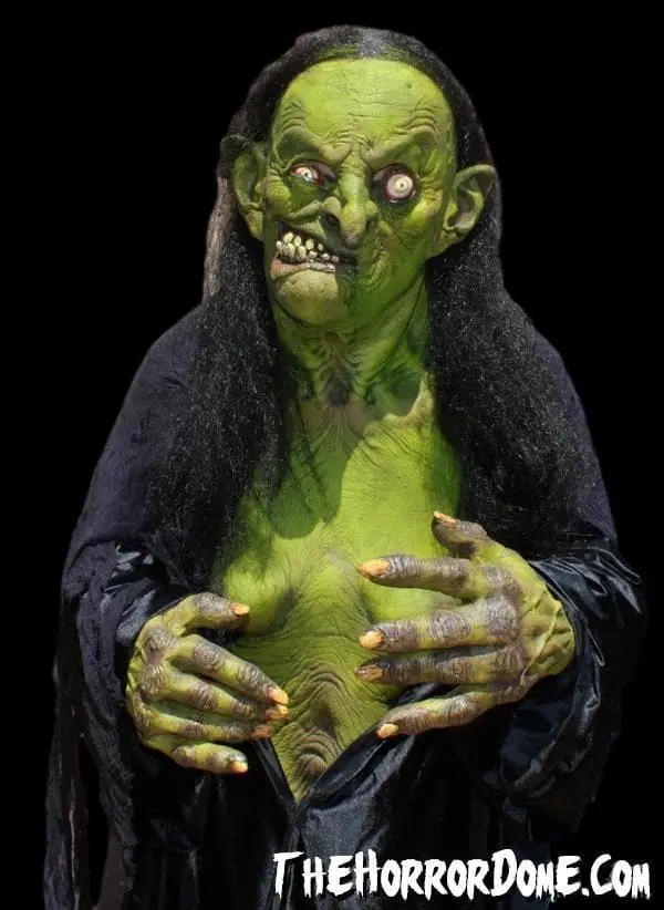 The Horror Dome "Helga The Witch" HD Studios Pro Costume 3 The Horror Dome "Helga The Witch" HD Studios Pro Costume