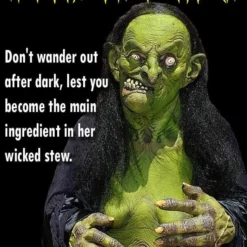 The Horror Dome "Helga The Witch" HD Studios Pro Costume 15 The Horror Dome "Helga The Witch" HD Studios Pro Costume -The Horror Dome Store helga the witch hd studios pro halloween costume 14327608213552