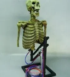 DC PROPS "Mini Popper" Skeleton Halloween Animatronic