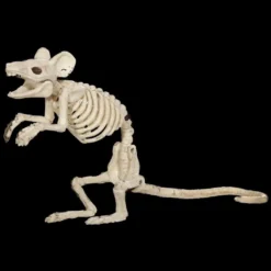 Morris "Mouse Skeleton" Animal Prop