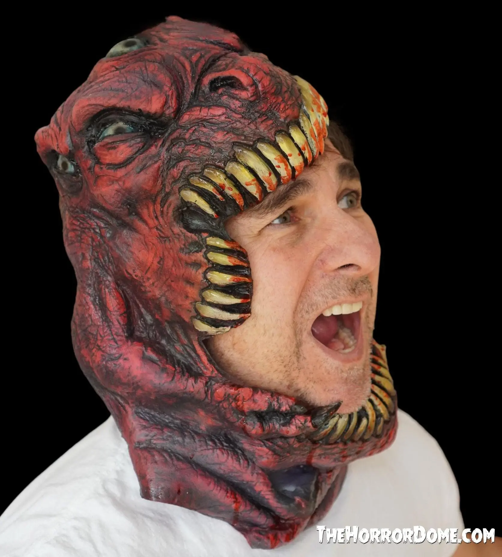 The Horror Dome " The Head Chomper" HD Studios Pro Mask 8 The Horror Dome " The Head Chomper" HD Studios Pro Mask - Image 6