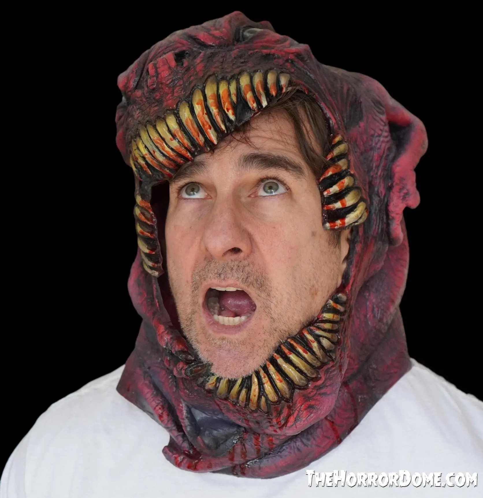 The Horror Dome " The Head Chomper" HD Studios Pro Mask 6 The Horror Dome " The Head Chomper" HD Studios Pro Mask - Image 4