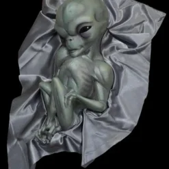 The Horror Dome "Roswell Alien Baby Crash Victim" HD Exclusive Halloween Decoration