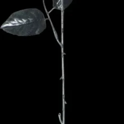 Morris "One Dozen Black Roses With Eyes" Halloween Accessory Prop