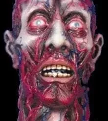 Morris "Peeled Flesh" Severed Head Halloween Prop