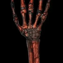 Morris "Rotted Hand - Flesh And Bone" Human Body Part Halloween Prop