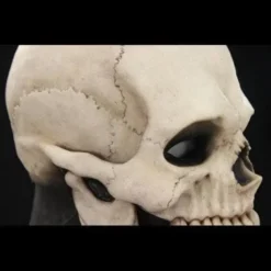 CFX "Skull Hood" Silicone Mask -The Horror Dome Store skull hood silicone halloween mask 20360423169