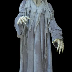 The Horror Dome "Swamp Hag" HD Studios Costume
