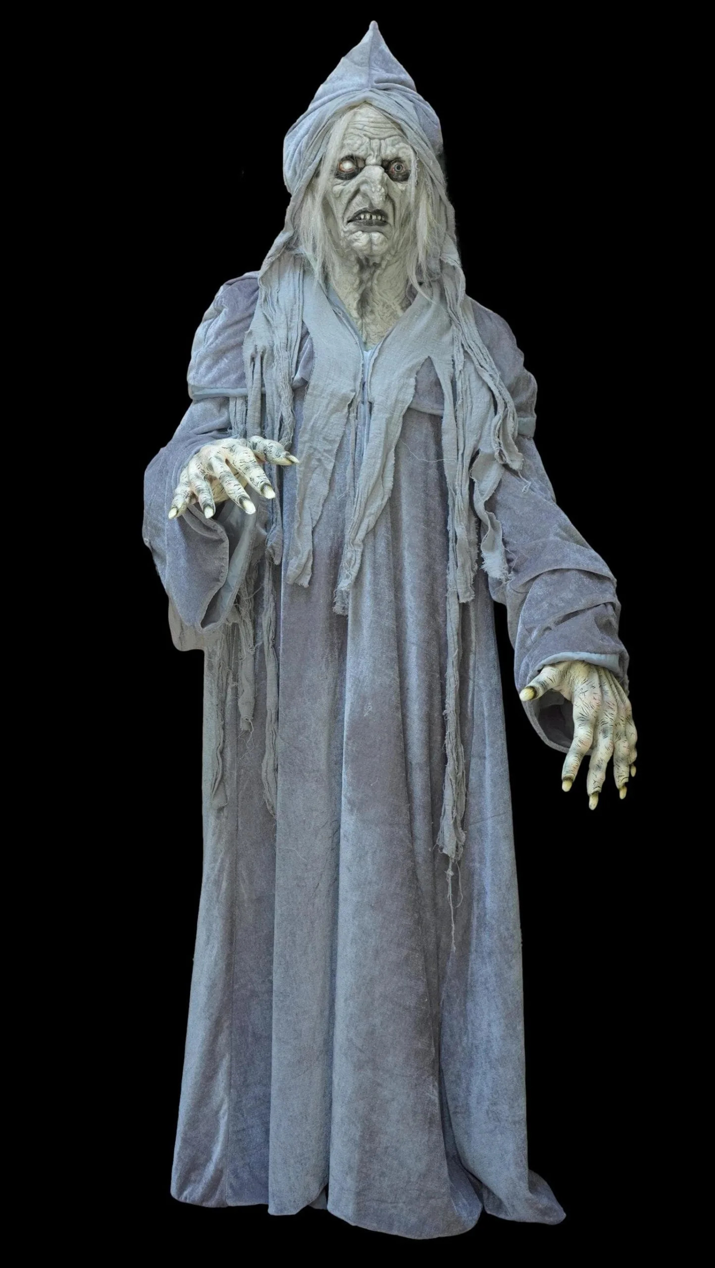 The Horror Dome "Swamp Hag" HD Studios Costume 3 The Horror Dome "Swamp Hag" HD Studios Costume