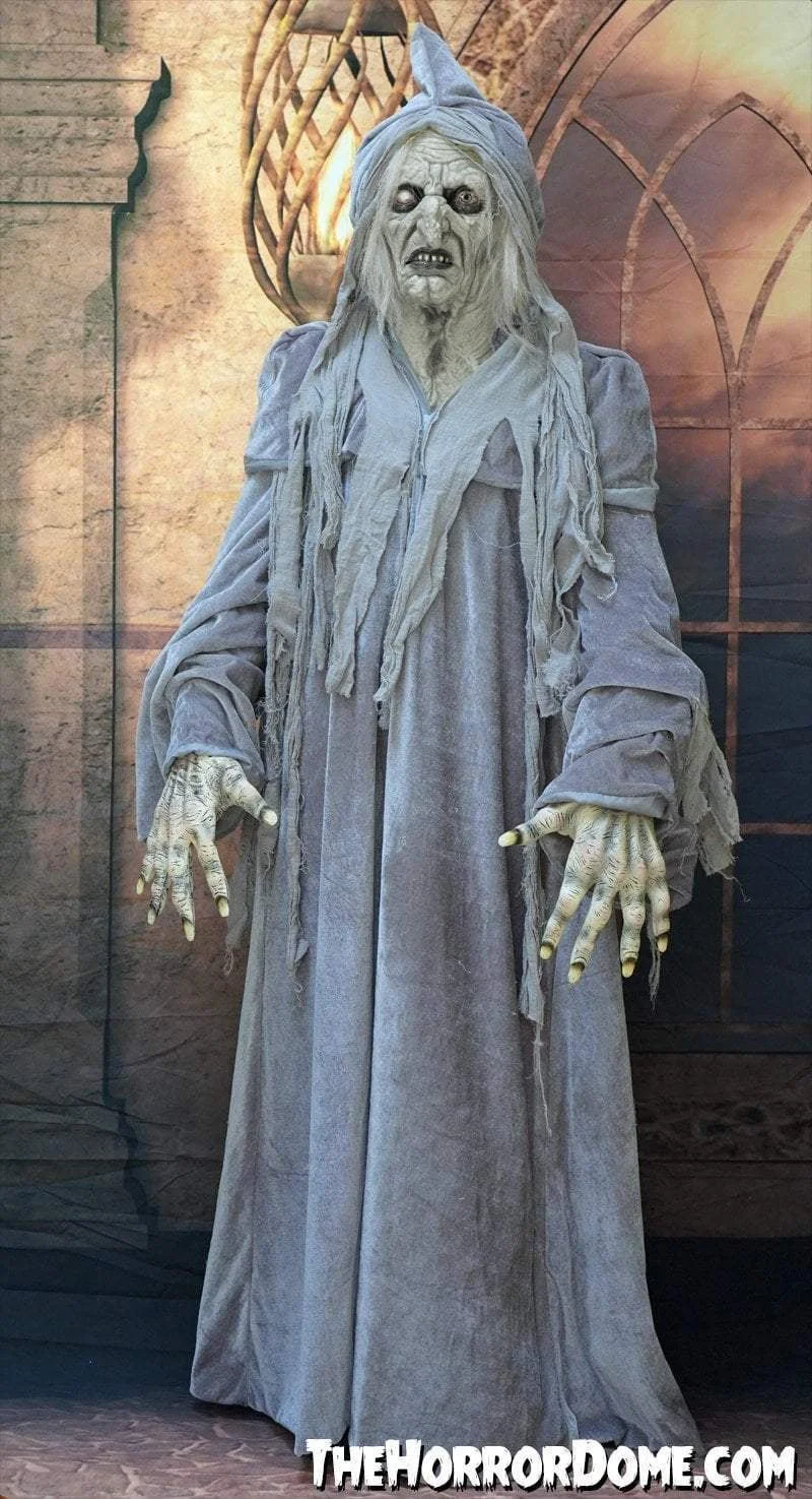 The Horror Dome "Swamp Hag" HD Studios Costume 5 The Horror Dome "Swamp Hag" HD Studios Costume - Image 3