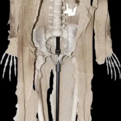 Morris "Talking Skeleton" Halloween Prop - Open Box