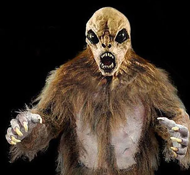 The Horror Dome "The Hobgoblin" HD Studios Pro Costume 5 The Horror Dome "The Hobgoblin" HD Studios Pro Costume - Image 3