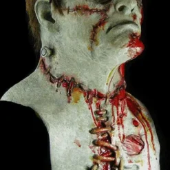 The Horror Dome "The Monster" HD Studios Pro Mask -The Horror Dome Store the monster hd studios pro halloween mask 28754341199920