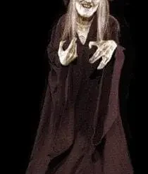 Distortions "The Wicked Witch" Halloween Prop