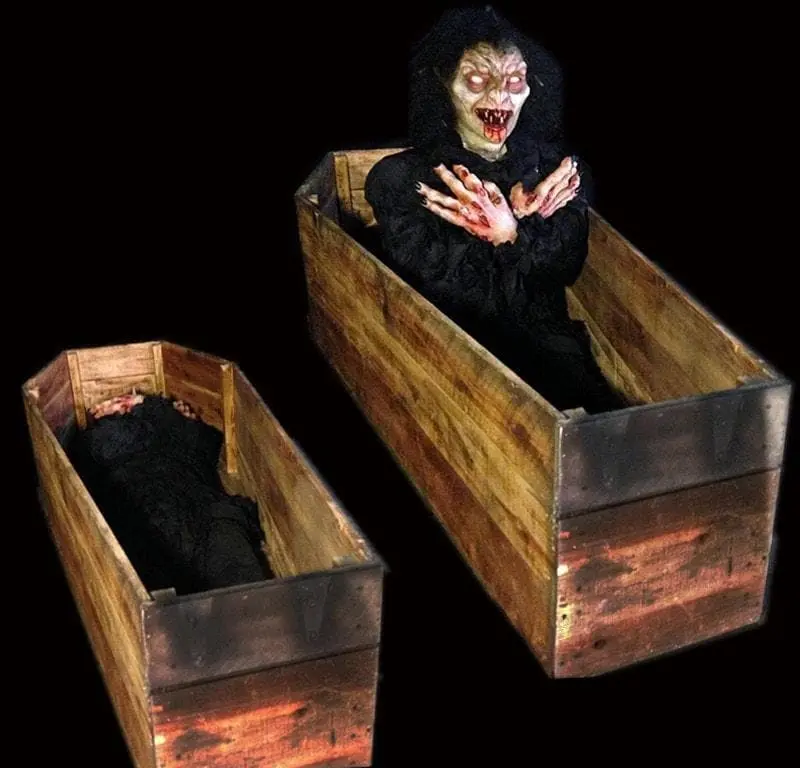 The Horror Dome "Vampire" Halloween Props - Package Deal 7 The Horror Dome "Vampire" Halloween Props - Package Deal - Image 5