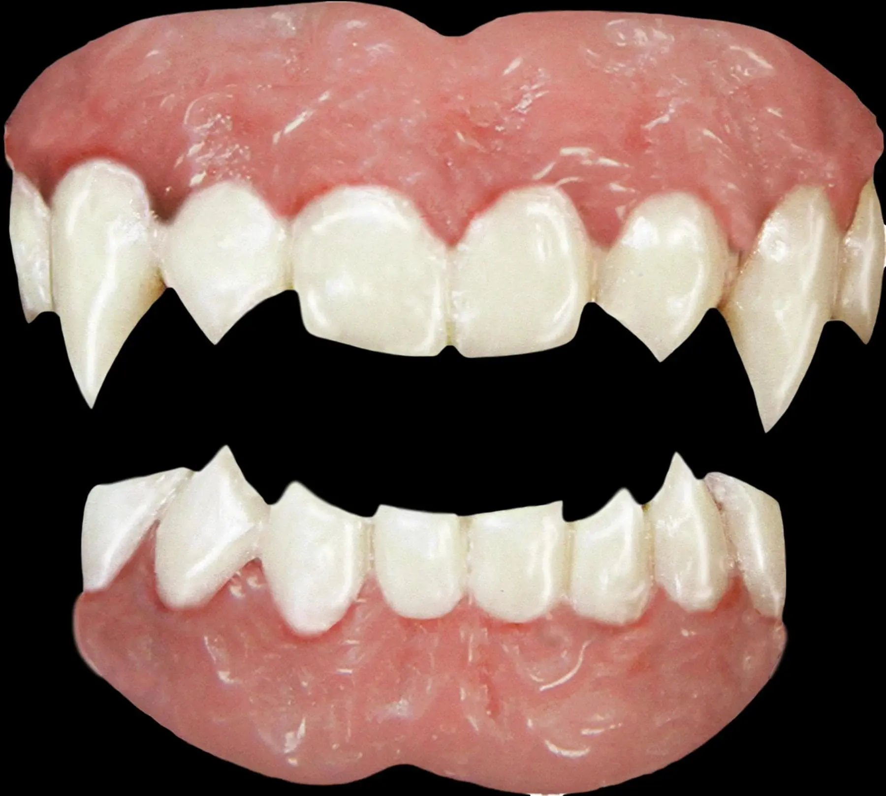 Morris Vampire Teeth 3 Morris Vampire Teeth