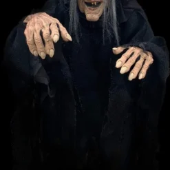 The Horror Dome "Wicked Witch" HD Comfort Costume