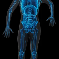 Morris "X-Ray Skin Suit" Costume