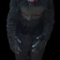 The Horror Dome "Zombie Gorilla" HD Studios Pro Costume 8 The Horror Dome "Zombie Gorilla" HD Studios Pro Costume -The Horror Dome Store zombie gorilla hd studios pro costume 29597208444976